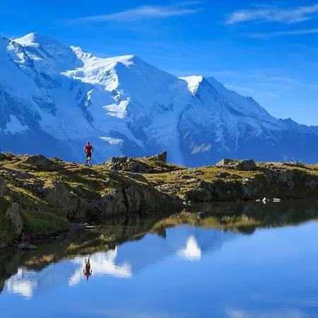 Grands Montets 313 - Happy Chamonix
